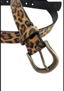 CINTURON ANIMAL PRINT  A5141